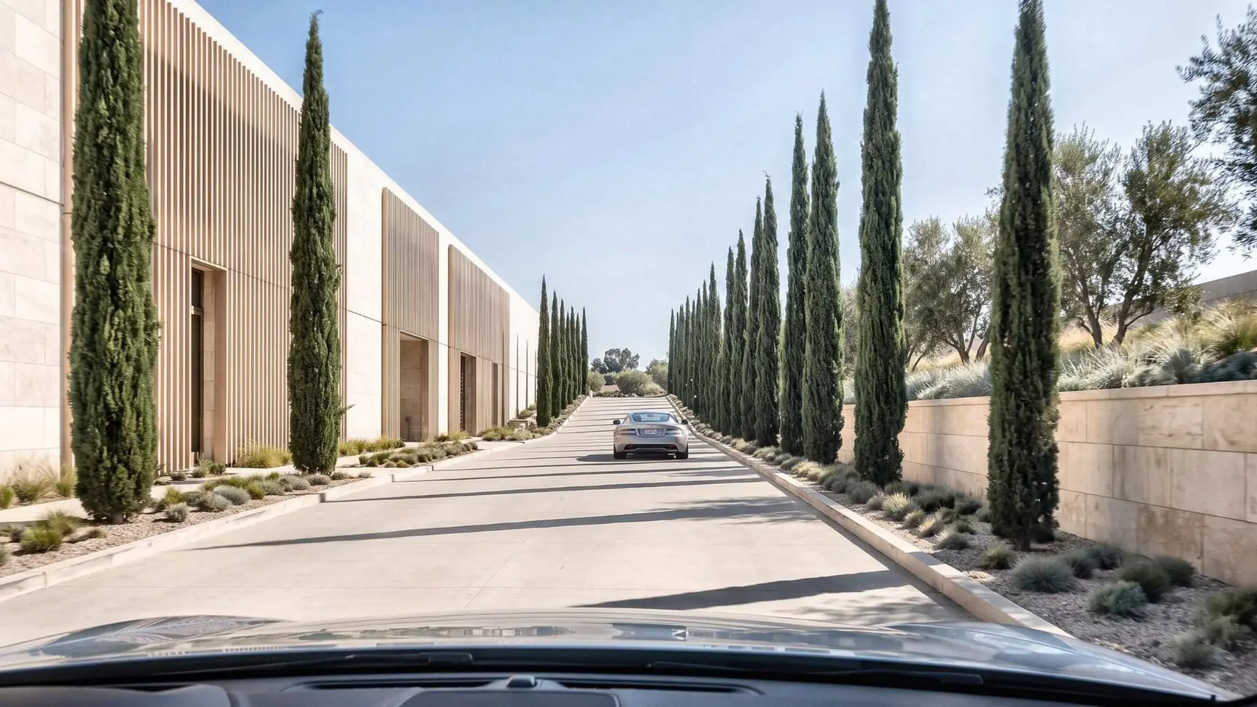 A long, quiet approach lined with cypress, leading toward a campus of pale stone buildings